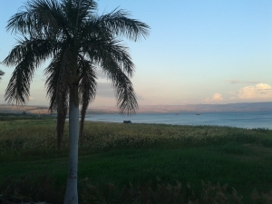 The shores of Galilee, near Tiberias.