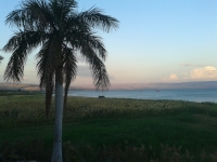 The shores of Galilee, near Tiberias.
