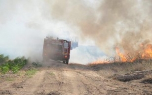 Palestinian Environmental Abuse Update