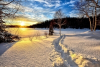 "He spreads the snow like wool" (v16)