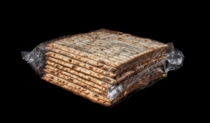 Passover in a Time of Plague