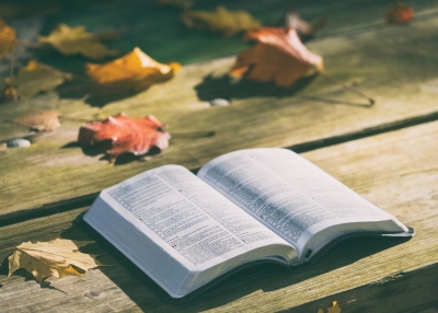Studies in Jeremiah (31)