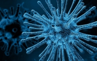 Coronavirus: Prophecy Today UK's Response