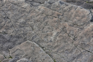 Through the Storm: Down to the Bare Rock