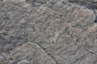 Through the Storm: Down to the Bare Rock