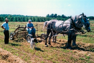 You Must Be Bad if the Amish are Up in Arms!