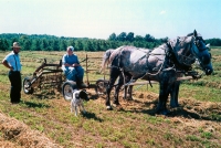 You Must Be Bad if the Amish are Up in Arms!