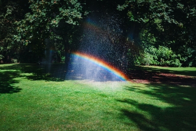 An Atmosphere of Miracles