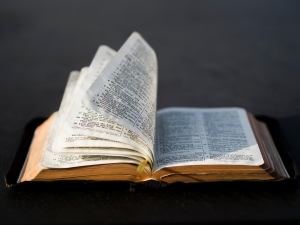 Israel Re-Born: The Fruit of Prayer