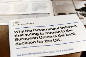 The Referendum: An Exercise in Bullying