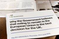 The Referendum: An Exercise in Bullying