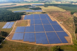 Net Zero: At All Costs