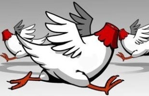 Headless Chickens