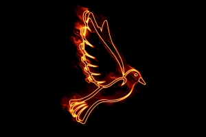 Pathway to Pentecost
