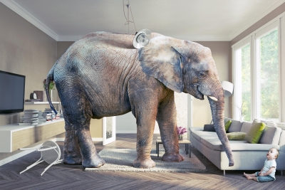 The Elephant Roams the Room
