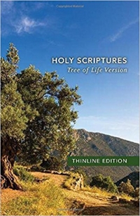 Review: Tree of Life Bible