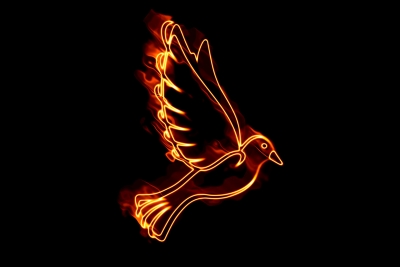 The Community of Believers (10)