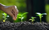 The Essence of Church Planting