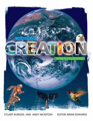 Review: Wonders of Creation