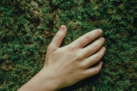 Revelation 20:4 – Covid 19 and the Mark of the Beast