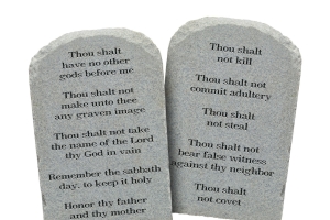 The Laws of Life