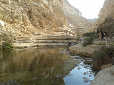 A desert spring near Dimona provides refreshment for weary tourists.