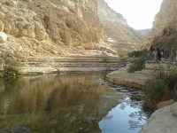 A desert spring near Dimona provides refreshment for weary tourists.