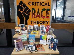 Social Justice and Critical Theory