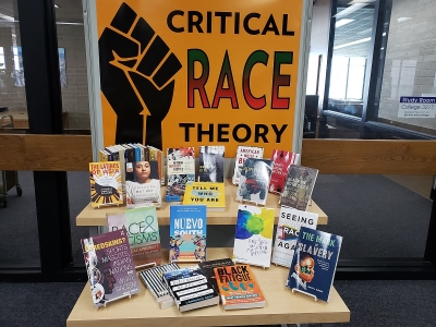 Social Justice and Critical Theory