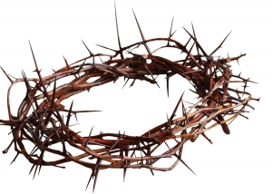  “If our Lord wore a crown of thorns, why should His followers expect a crown of roses?”