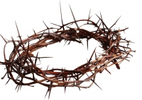  “If our Lord wore a crown of thorns, why should His followers expect a crown of roses?”