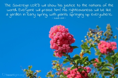 The Kingdom Reign of the Messiah