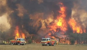 Bushfires in New South Wales