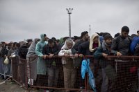 Migrants queue outside a reception centre in Croatia, 25 September 2015.