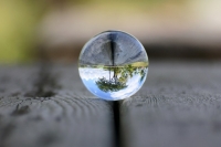 An Upside-Down World