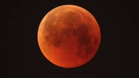 Blood Moons and Revelation 11