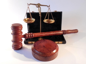 To Judge or Not to Judge