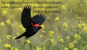Matthew 13:31-32