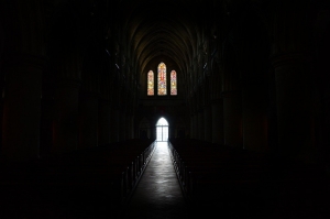 Light in the darkness