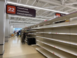 Preparing Ourselves for a Global Collapse