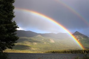 What the Bible Says About...the God of Creation
