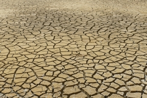Famine in the Land