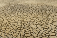 Famine in the Land