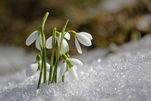 Hope Amid Despair