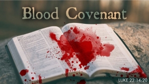 Through the Storm: Covenant Blood