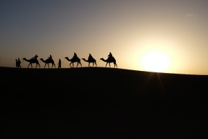 Wise Men Still Seek Him