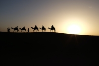 Wise Men Still Seek Him