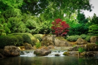 Abundant Life
