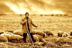 Through the Storm: Our Good Shepherd