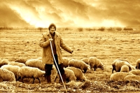 Through the Storm: Our Good Shepherd
